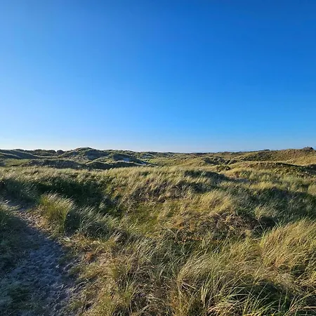 8 Person In Tatil Evi Ringkøbing