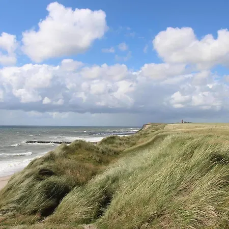 8 Person In Tatil Evi Ringkøbing
